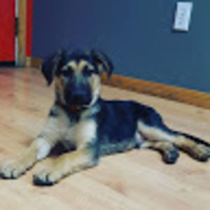 Meet your Posher, Wdr